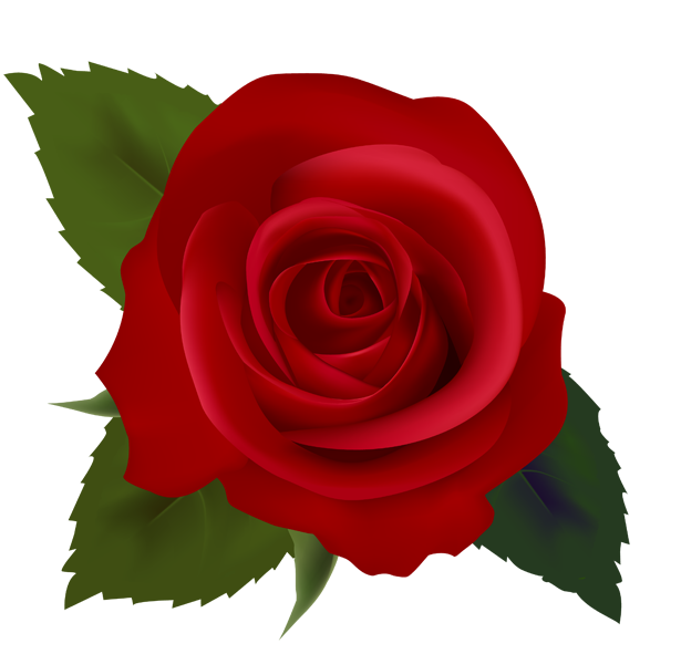 Red roses clip art images free clipart images
