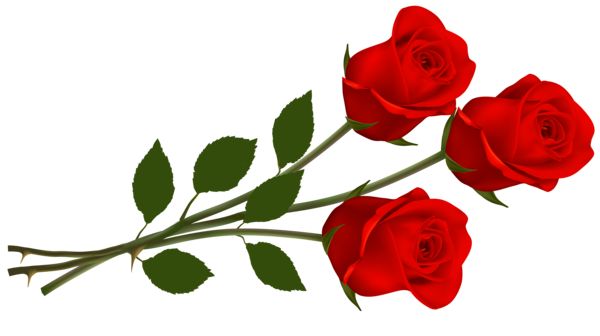 Red roses clipart roses for you red roses