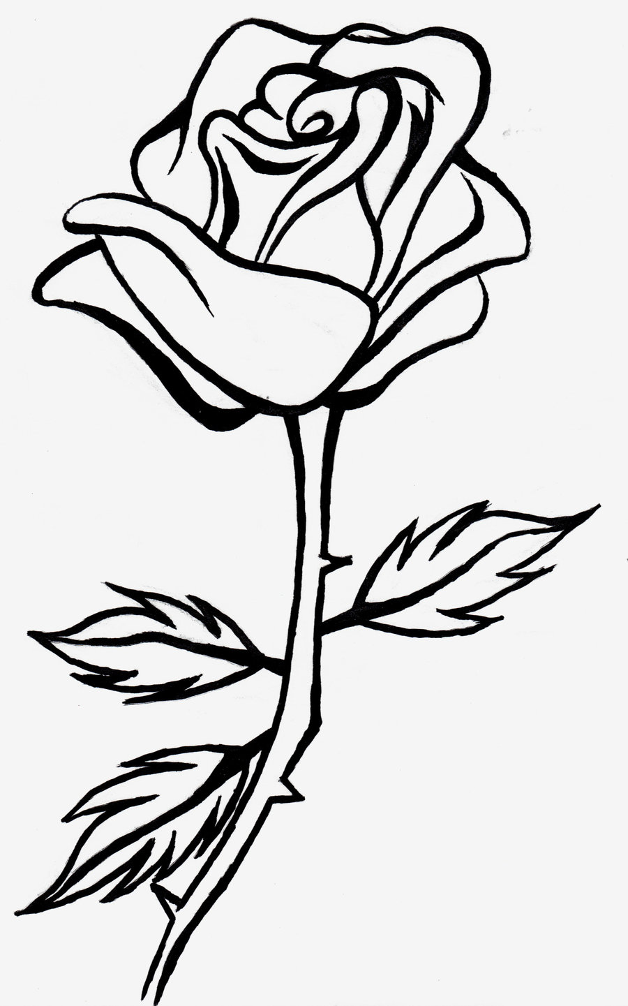 Rose line drawing clipart
