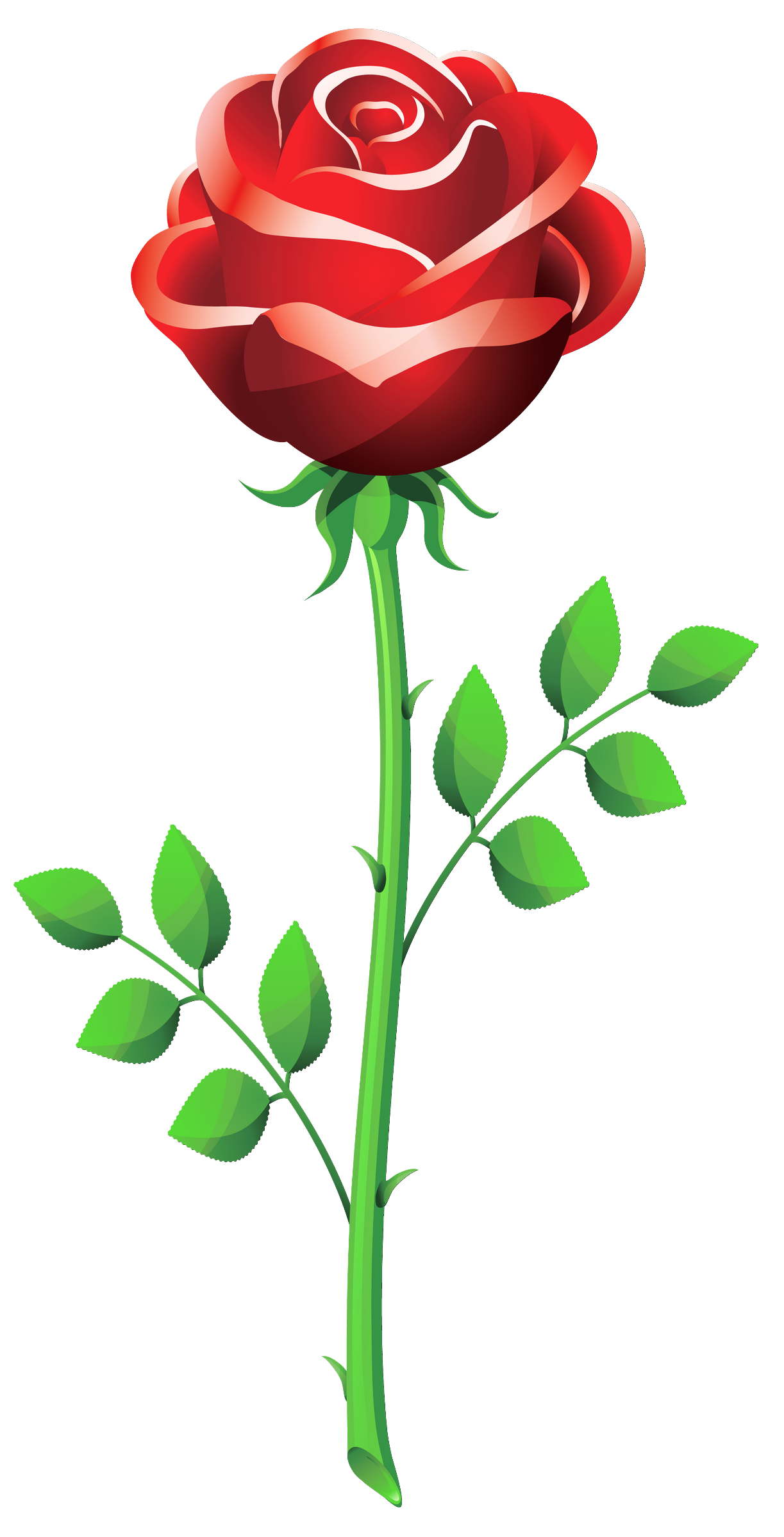 Roses red rose clip art vectors download free vector art clipartcow