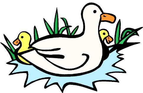 Rubber duck clip art free clipart 2 clipartix 2