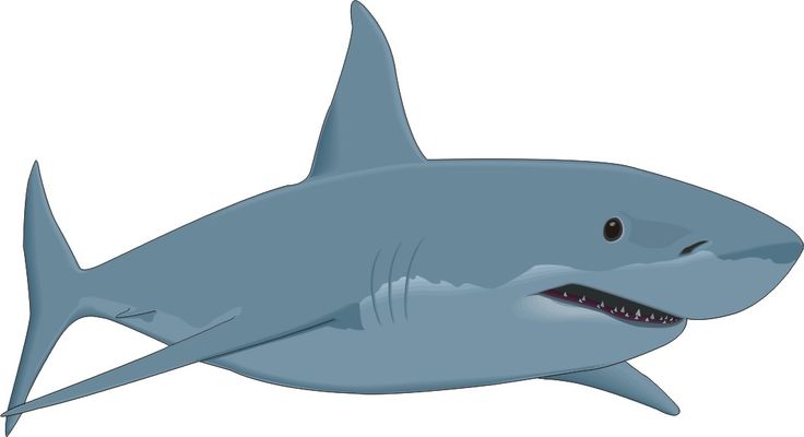 Shark clip art images free clipart images 2