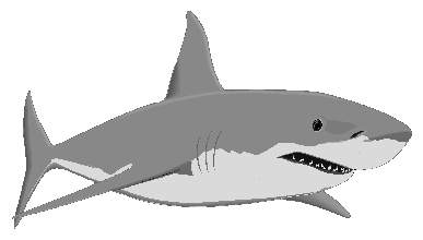 Shark clipart sharks tiger shark clipart image 4