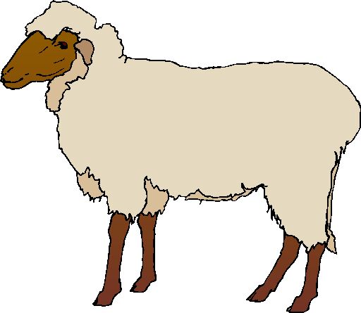 Sheep clip art cartoon free clipart images