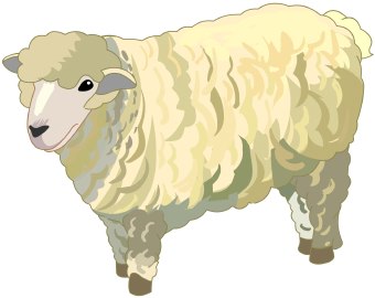 Sheep clip art sheep animals clip art downloadclipart org