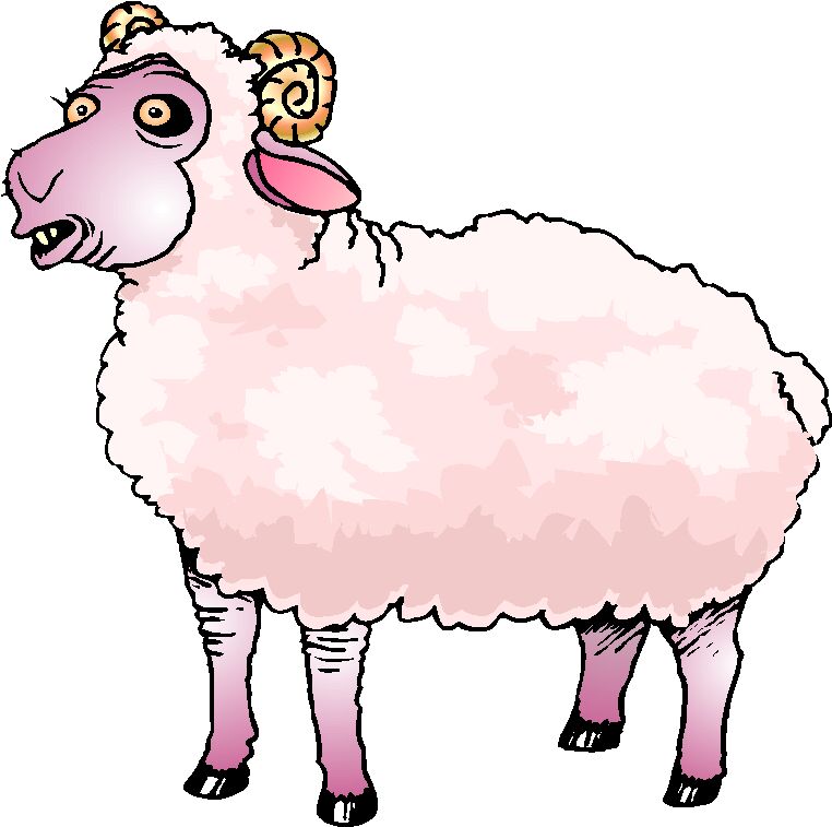 Sheep lamb clipart 2 image