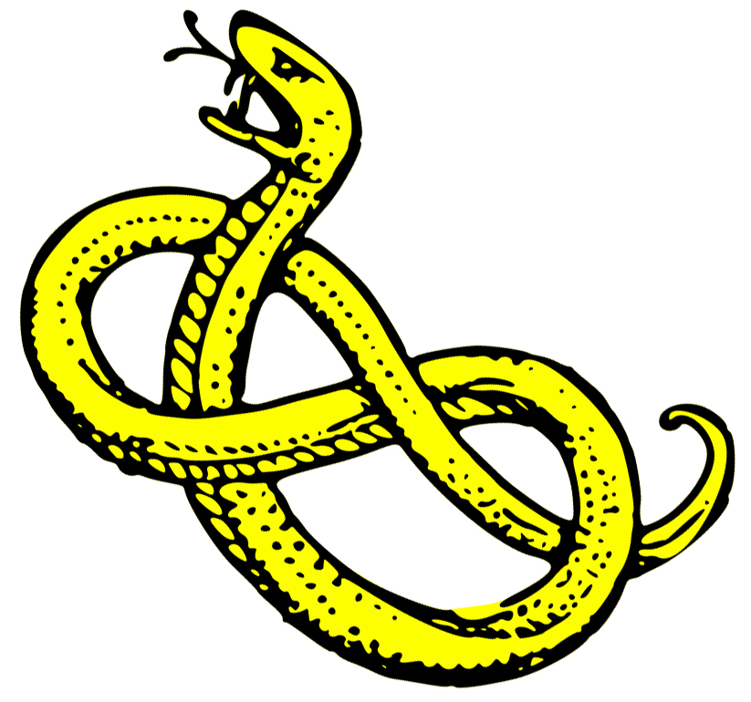 Snake clip art clipart