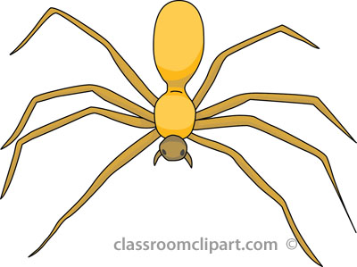 Spider clip art clipart image