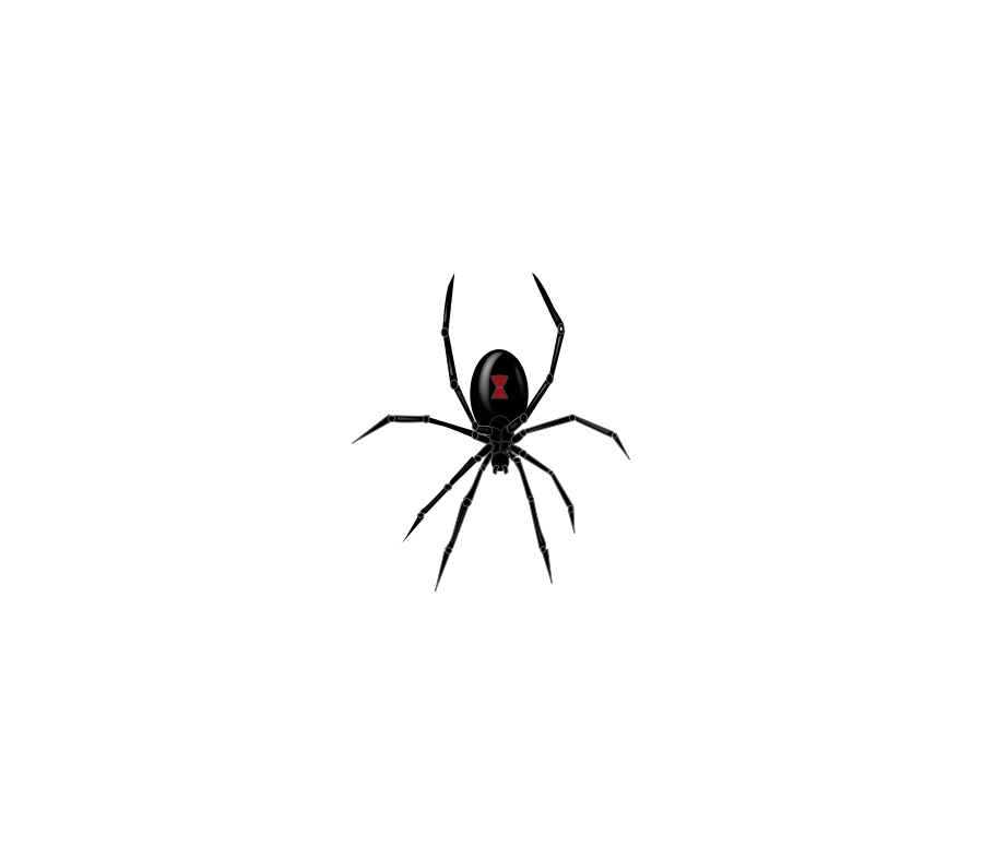 Spider clipart for kids clipart image