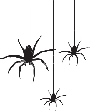 Spider clipart images 8 spider clip art vector image