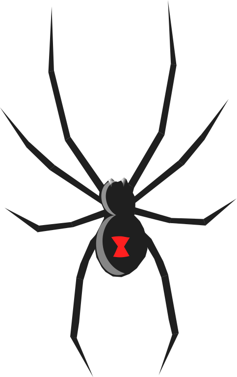 Spider free to use clip art