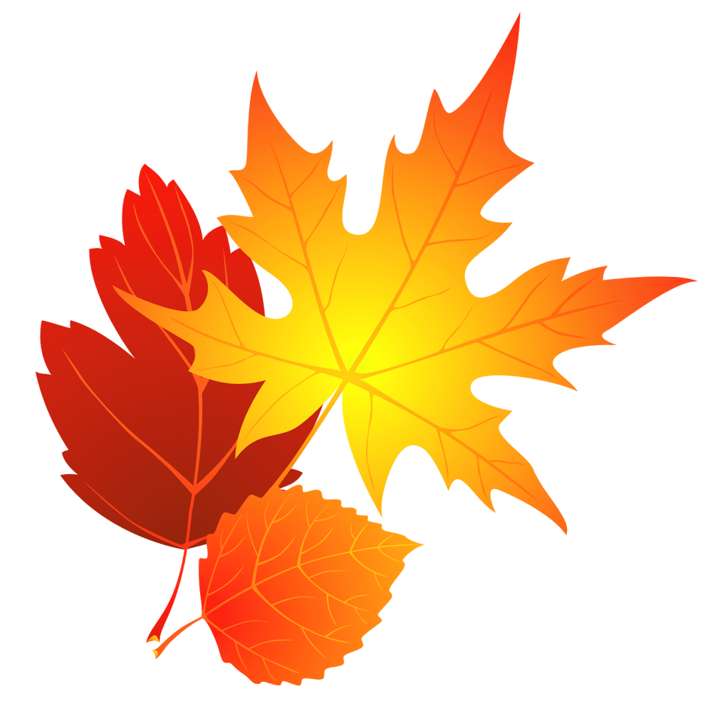 Transparent fall leaves clipart 0
