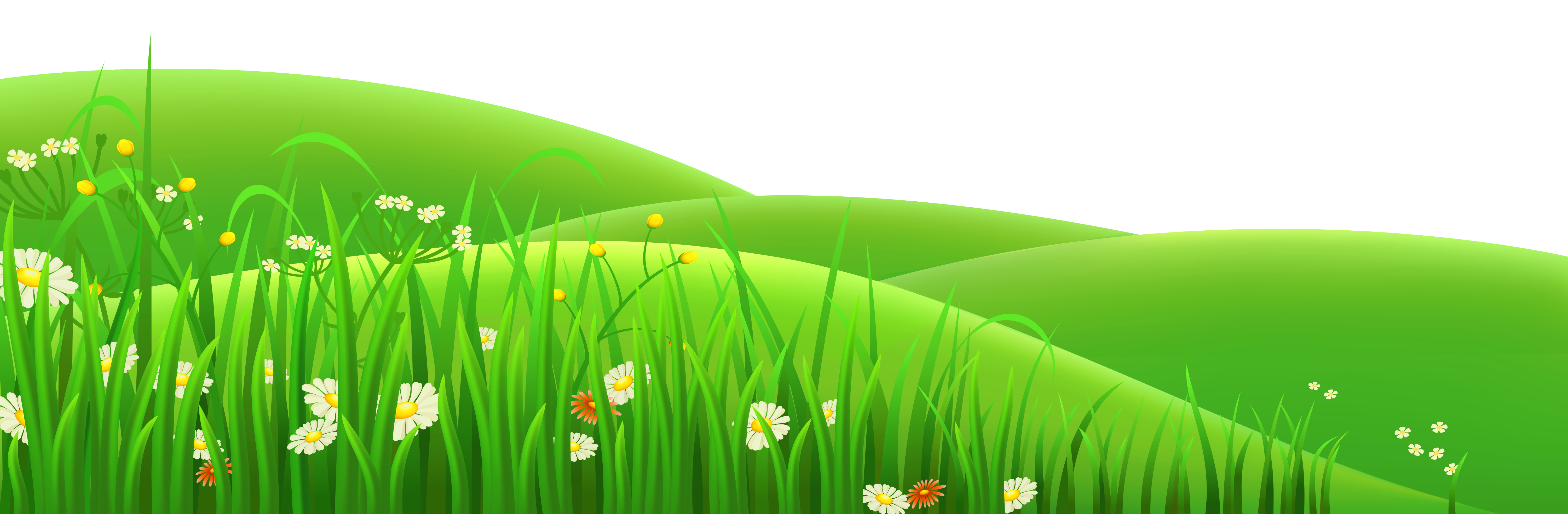 Transparent flowers and grass clipart