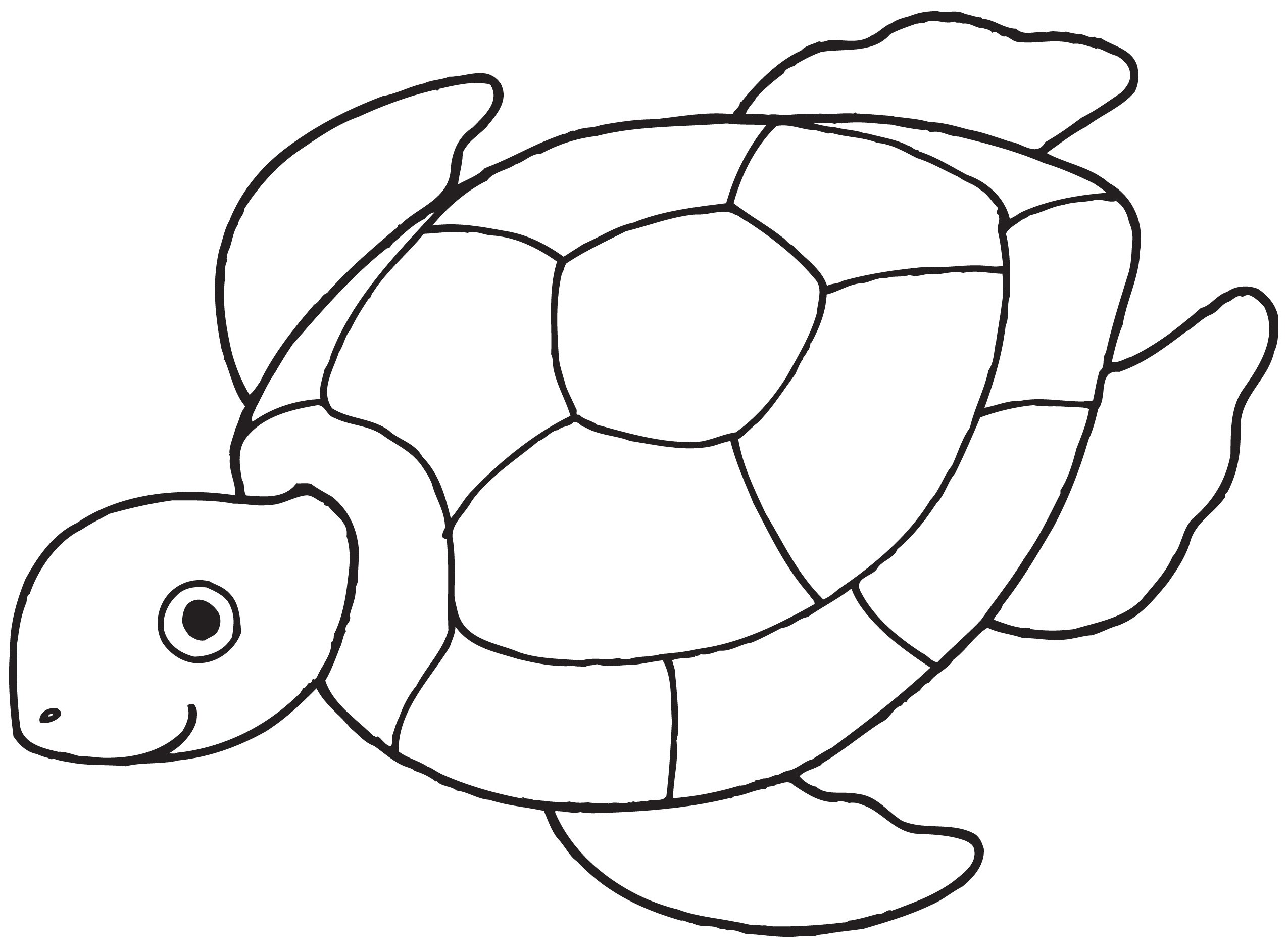 Turtle clip art black and white free clipart images 2
