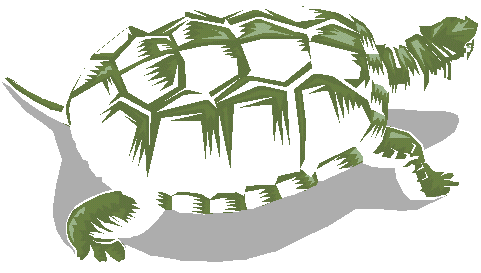 Turtle clip art free free vector for free download about free 2