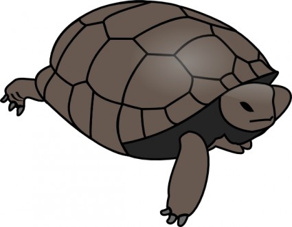 Turtle clip art free free vector for free download about free 3