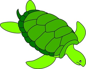 Turtle clip art kids free clipart images