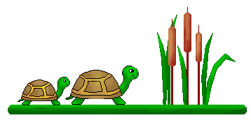 Turtle clip art turtles and cattails on green linebars turtles