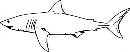 White shark clip art free vector in open office drawing svg svg 2