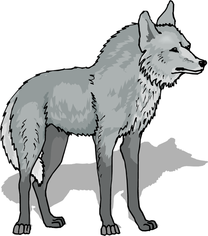 Wolf clipart wolfclipart wolf animals clip art downloadclipart org 2