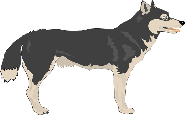 Wolf free to use cliparts