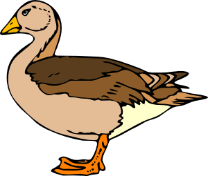 Wood duck clipart free clipart images