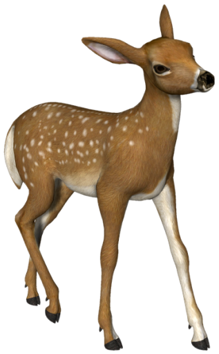 3d deer clipart