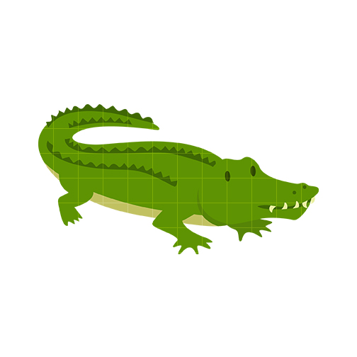 Alligator clipart 5