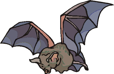 Bats clip art 3