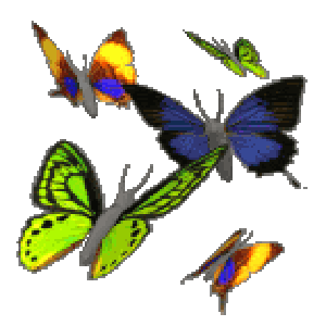 Butterflies animated clipart
