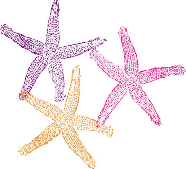 Colorful starfish clip art