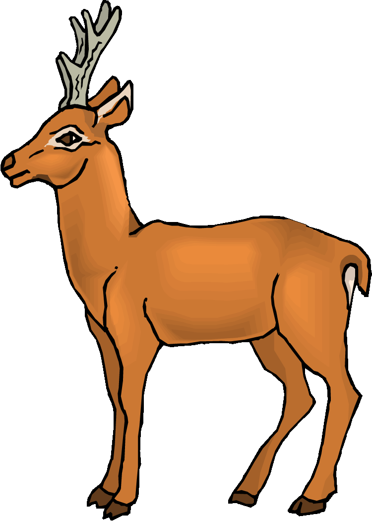 Cute deer clipart free clipart images