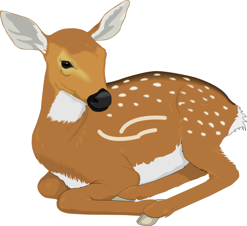 Deer clip art for kids free clipart images 2