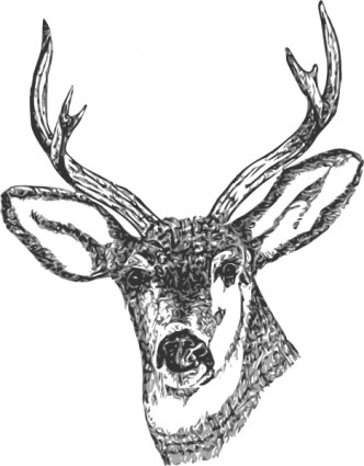 Deer head clip art free vector in open office drawing svg svg 3