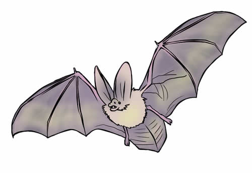 Free bat clip art 2 2