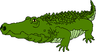 Free clip art alligator clipart image 2