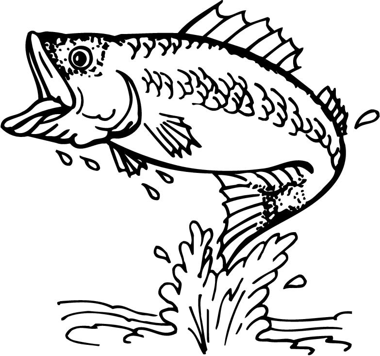Free fishing clipart free clipart graphics images and photos 2