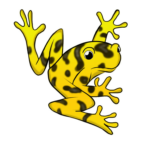 Free frog clip art drawings andlorful images 4