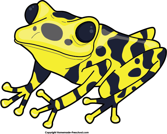 Free frog clipart 5