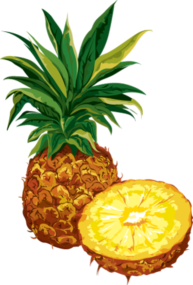 Free pineapple clipart the cliparts