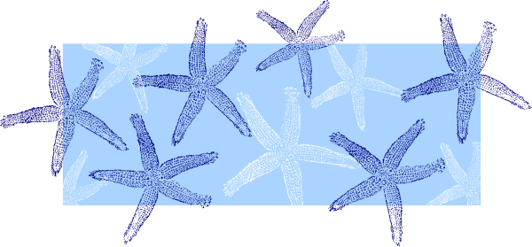 Free starfish clip art 3