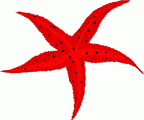 Free starfish clip art clipart