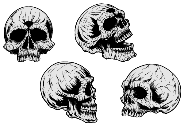Free vector skulls clip art freevectors