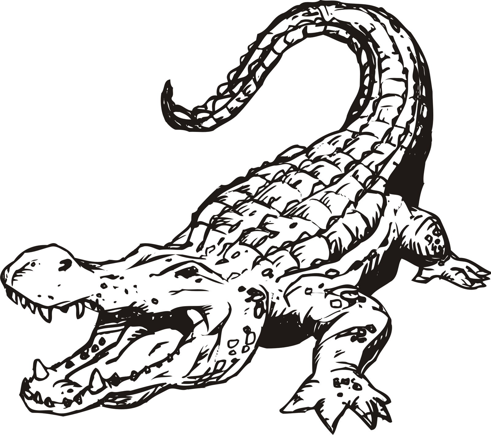 Funny alligator clip art crocodile pictures crocodile clip art 4