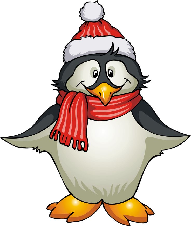 Funny penguin clipart image
