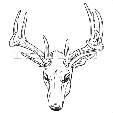 Gallery for clipart black and white deer heads