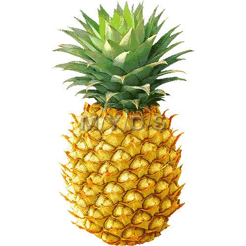 Hawaiian pineapple clipart free clip art images image 0