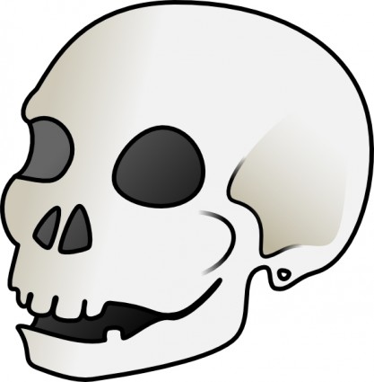 Human skull clip art free vector for free download about free
