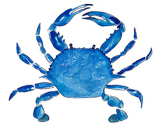 Image of blue crab clipart 1 blue crab logo images clipartoons