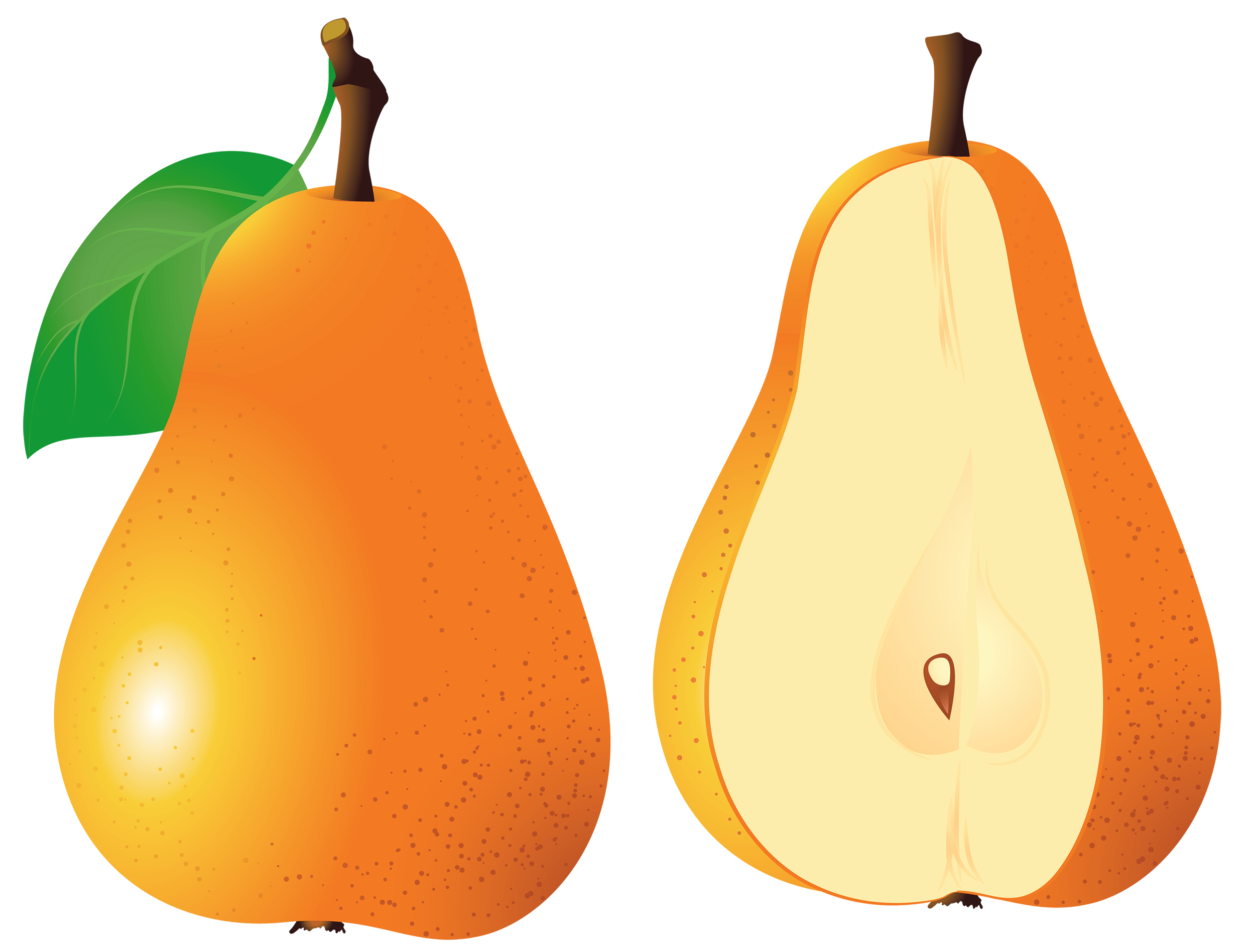 Pears fruit clipart web clipart
